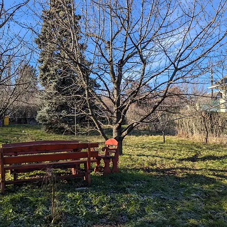 Valeria Vendeghaz ホームステイ *