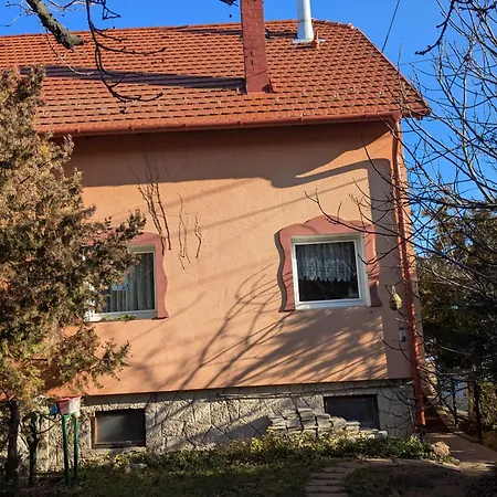 Valeria Vendeghaz * ブダカラース